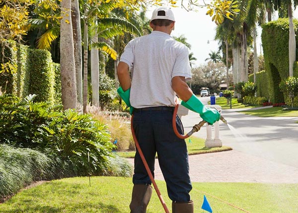 About Knott TX Pest Control